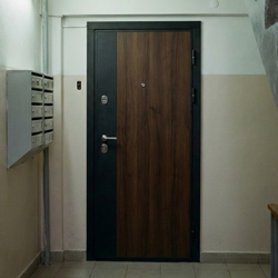 Превью - Двери в квартиру